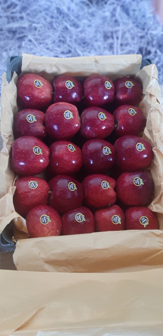 خرید سیب قرمز صادراتی ارومیه